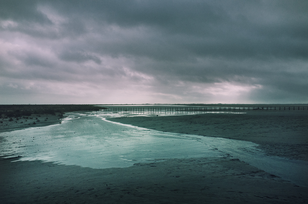 http://yannmarecal.com/img/camargue_202202.jpg