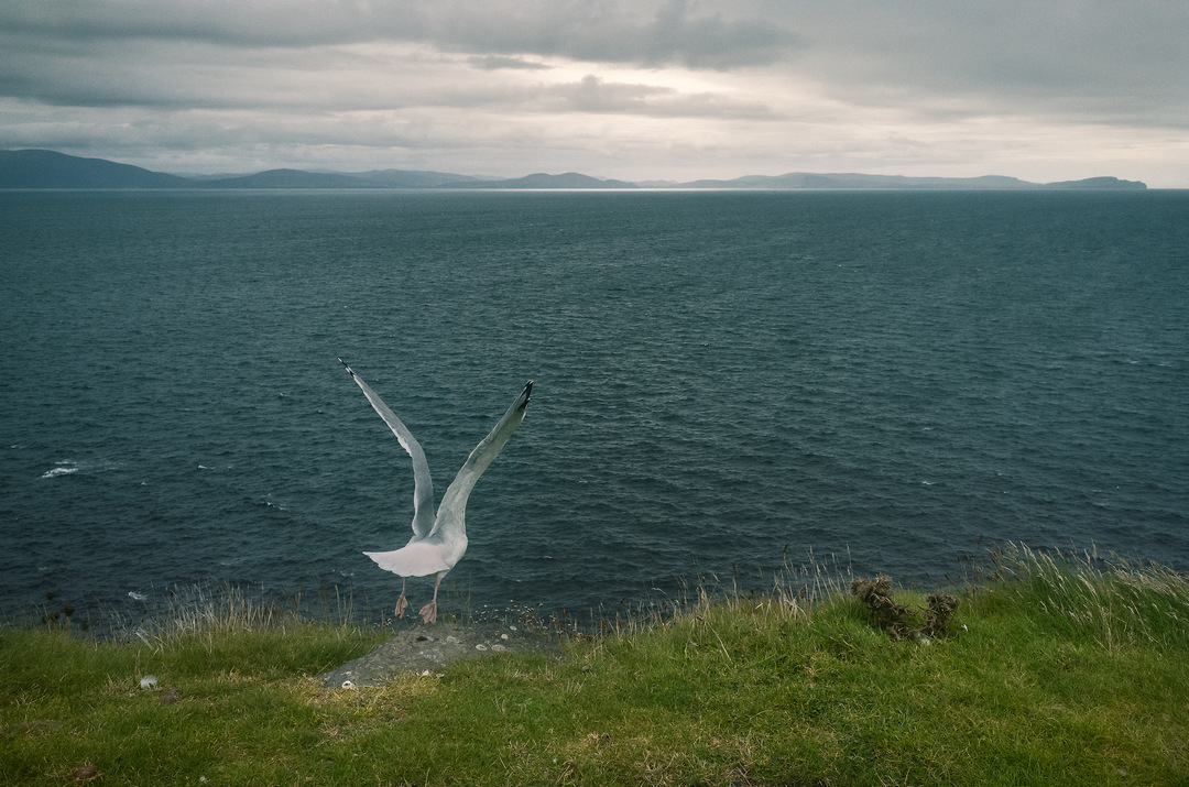 https://yannmarecal.com/img/Ireland_132.jpg