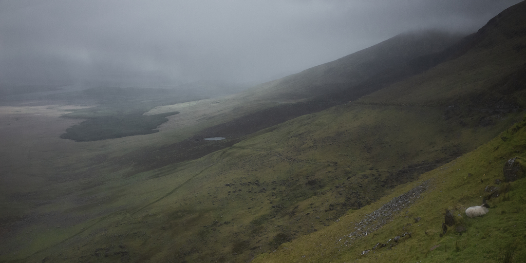 https://yannmarecal.com/img/Ireland_143.jpg