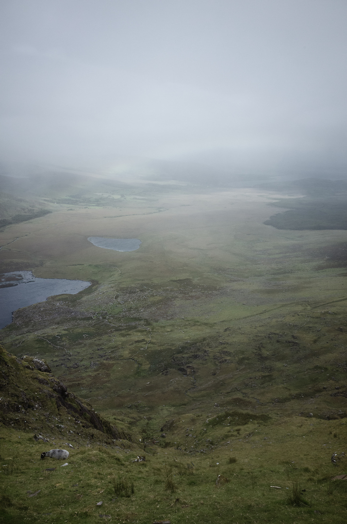 https://yannmarecal.com/img/Ireland_152.jpg