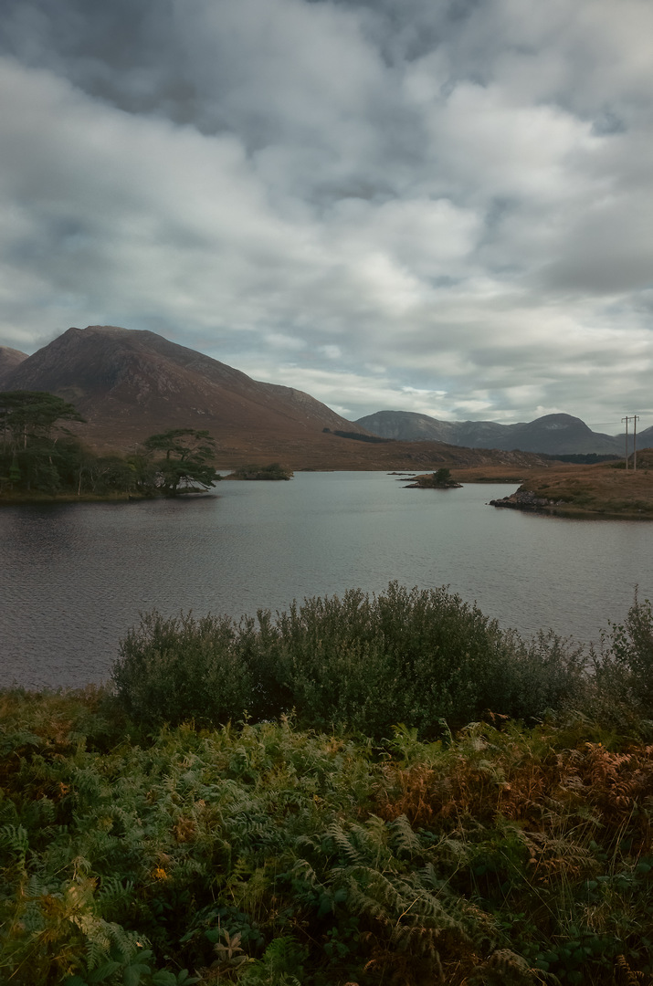 https://yannmarecal.com/img/Ireland_158.jpg