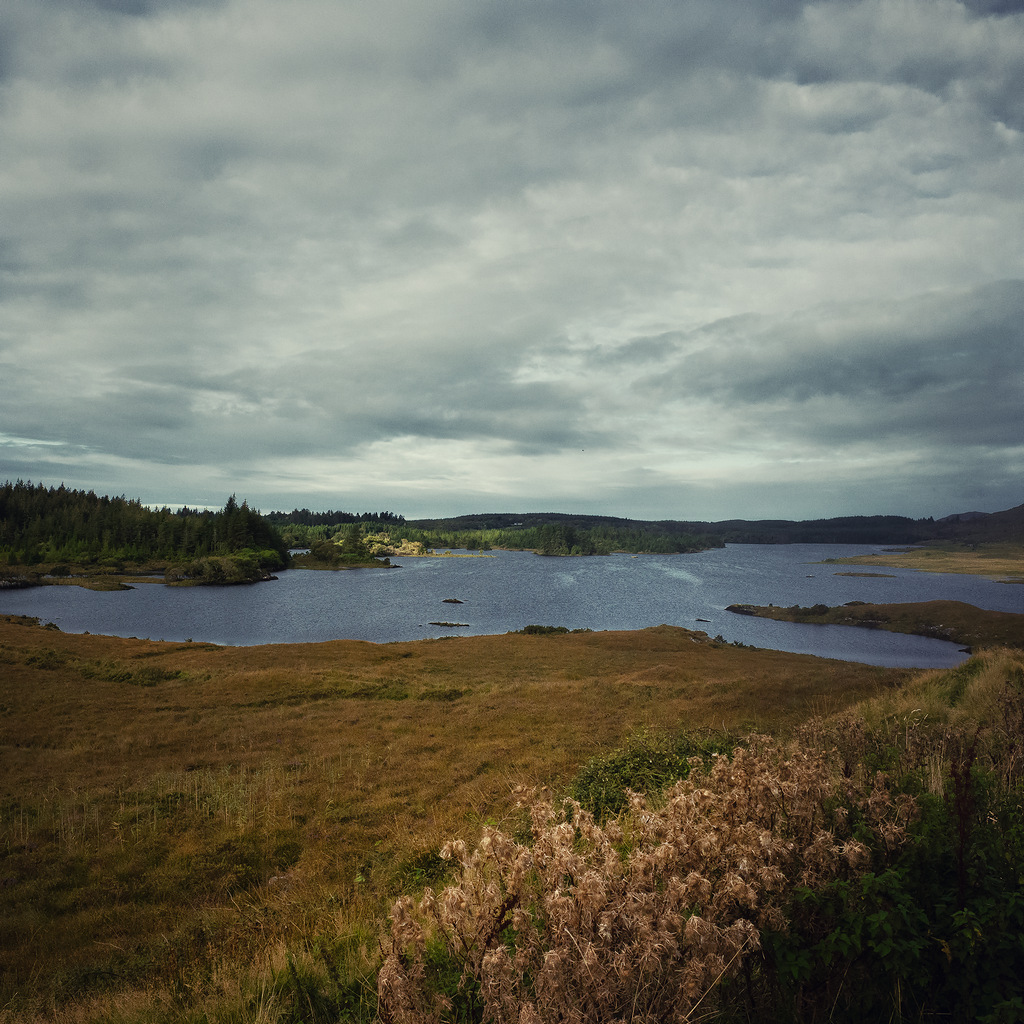 https://yannmarecal.com/img/Irlande202413.jpg