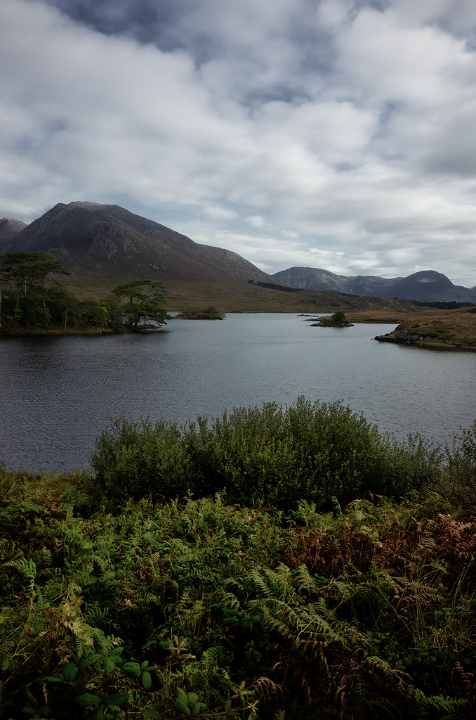 https://yannmarecal.com/img/Irlande202415.jpg