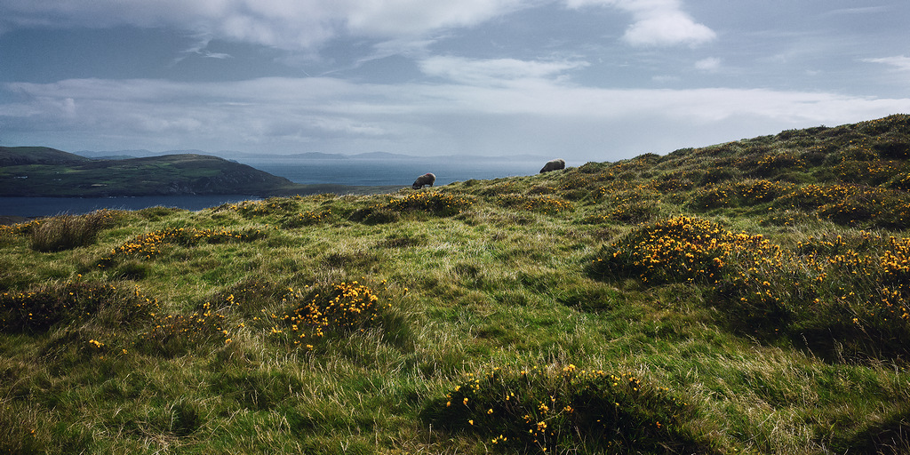 https://yannmarecal.com/img/Irlande202418.jpg