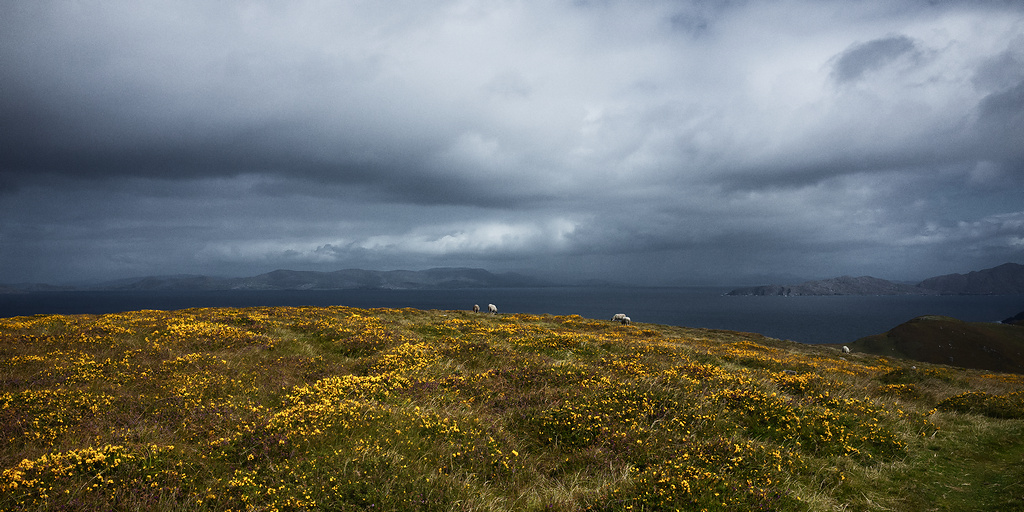 https://yannmarecal.com/img/Irlande202419.jpg