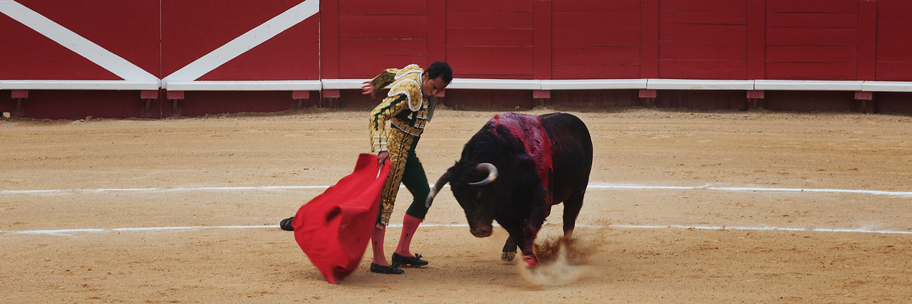 https://yannmarecal.com/img/corrida201101a.jpg