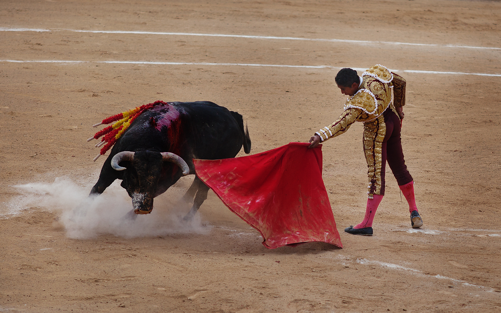 https://yannmarecal.com/img/corrida201102a.jpg